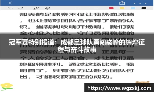 冠军赛特别报道：成都足球队勇闯巅峰的辉煌征程与奋斗故事