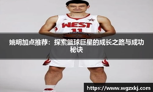 姚明加点推荐：探索篮球巨星的成长之路与成功秘诀