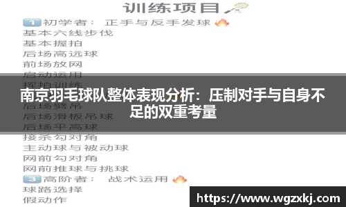 南京羽毛球队整体表现分析：压制对手与自身不足的双重考量