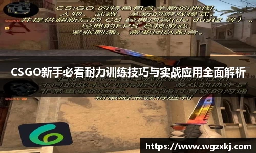 k1体育网页版