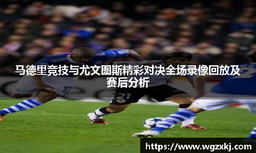 k1体育网页版