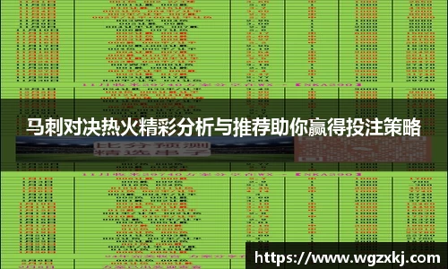 马刺对决热火精彩分析与推荐助你赢得投注策略