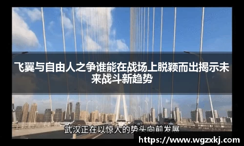 飞翼与自由人之争谁能在战场上脱颖而出揭示未来战斗新趋势