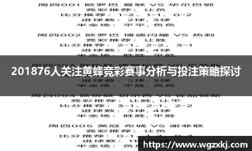 201876人关注黄蜂竞彩赛事分析与投注策略探讨