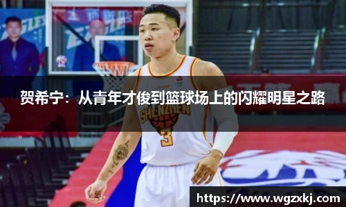 贺希宁：从青年才俊到篮球场上的闪耀明星之路
