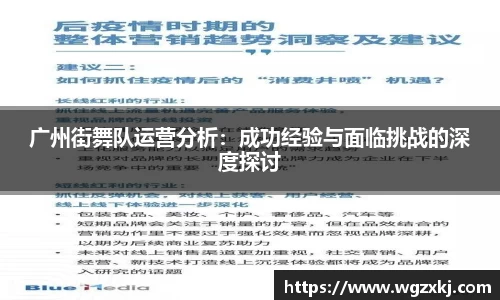 广州街舞队运营分析：成功经验与面临挑战的深度探讨
