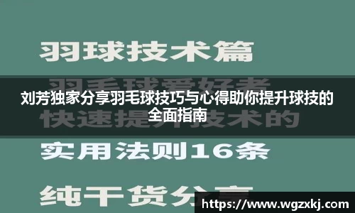 刘芳独家分享羽毛球技巧与心得助你提升球技的全面指南