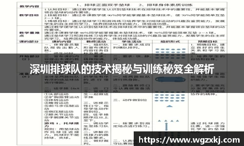 深圳排球队的技术揭秘与训练秘笈全解析